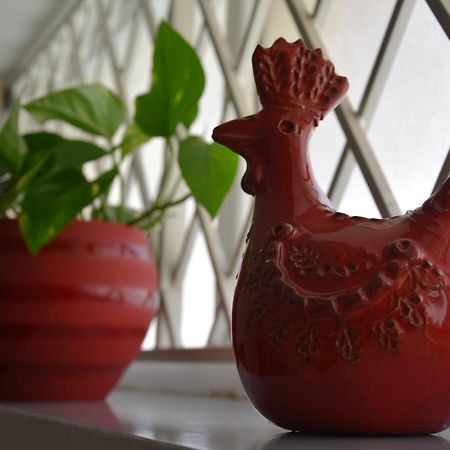 أولبيا B&B Casa Morgana المظهر الخارجي الصورة