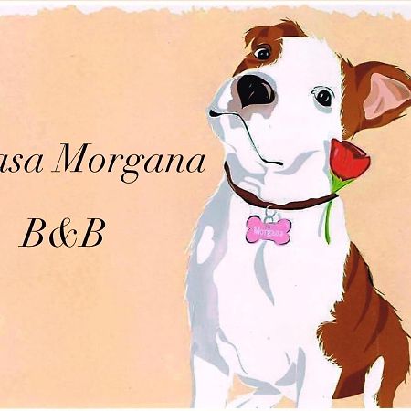 أولبيا B&B Casa Morgana المظهر الخارجي الصورة