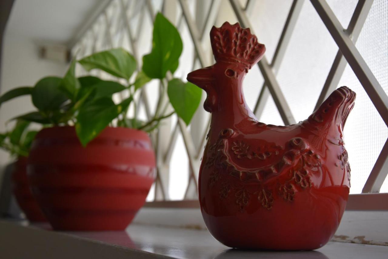 أولبيا B&B Casa Morgana المظهر الخارجي الصورة
