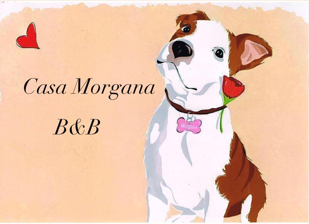 أولبيا B&B Casa Morgana المظهر الخارجي الصورة